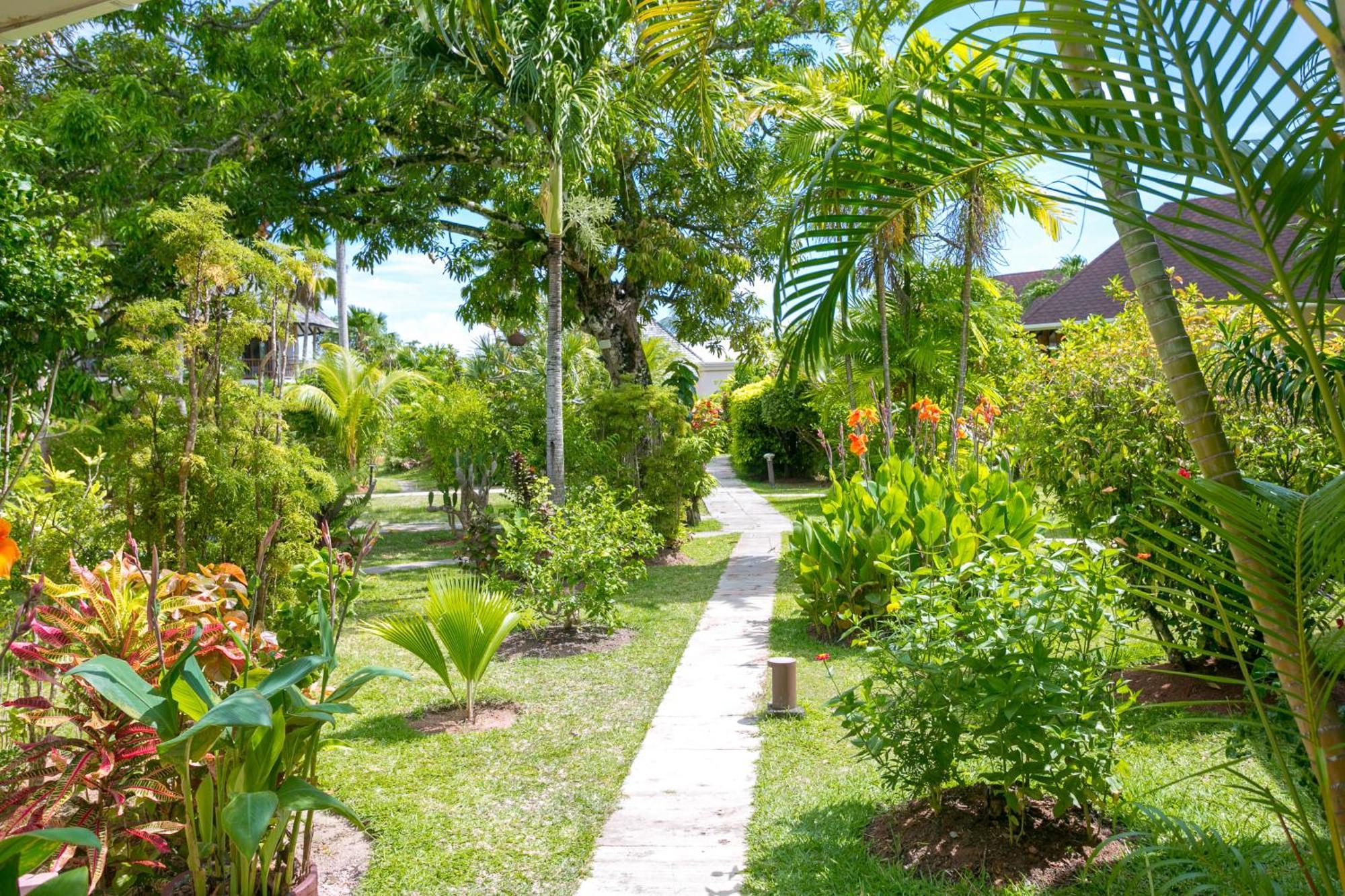 Les Lauriers Eco Hotel Anse Volbert Village Екстериор снимка
